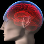 brain conditions, spine center Savannah, Spine surgery second opinion Savannah, spine surgeon Savannah, Second opinion for spine surgery Savannah, Laser spine surgery Savannah, Minimally invasive spine surgery Savannah, Home remedies for back pain Savannah, nonsurgical treatment for back pain Savannah, Herniated disc Savannah, spinal injections Savannah, Artificial disc replacement Savannah, neurological institute, neurological problems Georgia, neurosurgery Georgia, neurosurgery hilton head, pediatric neurosurgery Georgia, spine surgeon Georgia, Herniated disc Georgia, Spine surgeon second opinion Georgia, Minimally invasive spine surgery Georgia