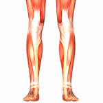 pain conditions